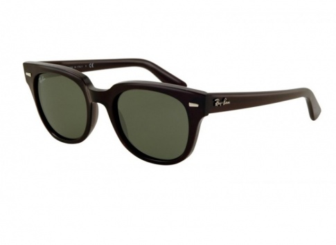 Ray Ban RB 4168 Meteor Sunglasses - Black